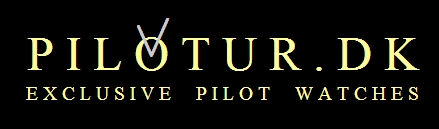 pilotur-logo